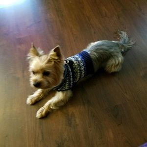 Meet your Posher, Donna